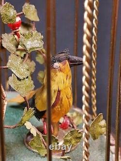 Cage Automate à deux Oiseaux Chanteurs Début XXème en parfait état de marche