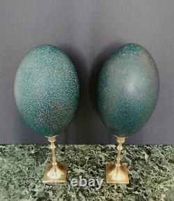 Paire d'Oeufs d'Émeu, Socles Laiton (Début XXè) / Emu Eggs Pair, Brass bases