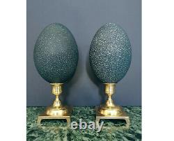 Paire d'Oeufs d'Émeu, Socles Laiton (XXè) / Emu Eggs Pair, Brass Bases (XXth)